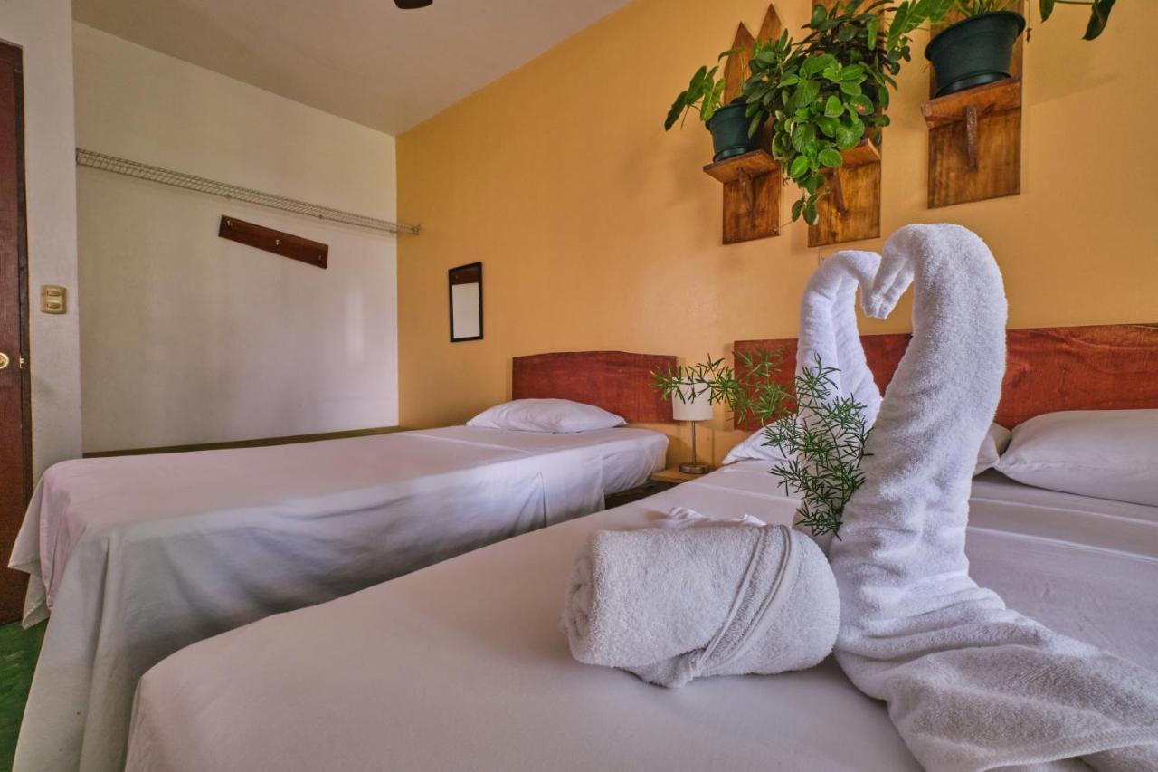 Villas Jacquelina ケポス エクステリア 写真